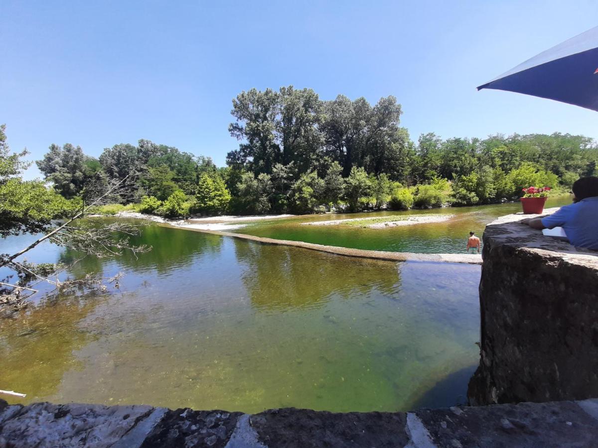 דירות Molieres-sur-Ceze Rez De Jardin T3 מראה חיצוני תמונה